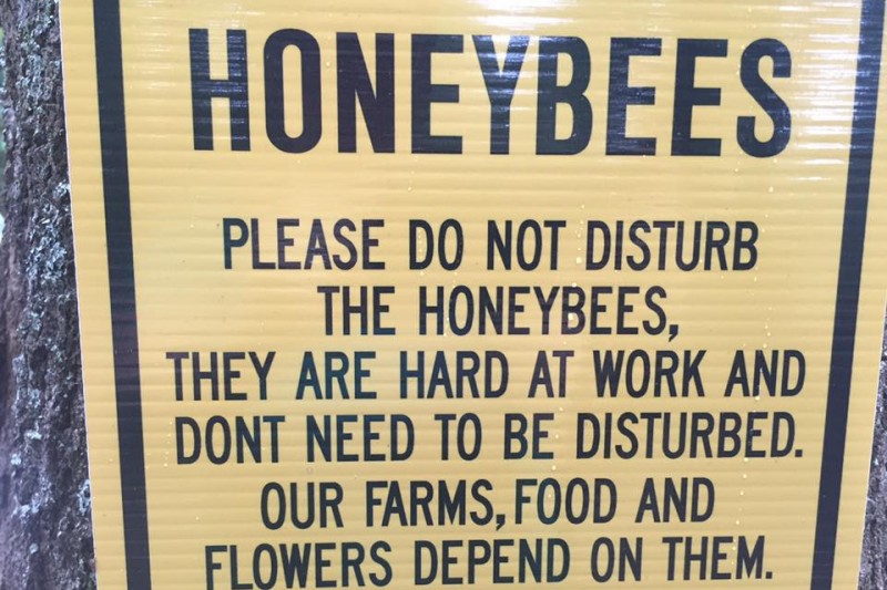 flowertown bee farm